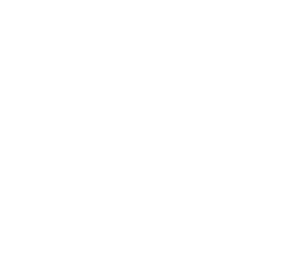 Gestión del Ciclo de Vida del Producto